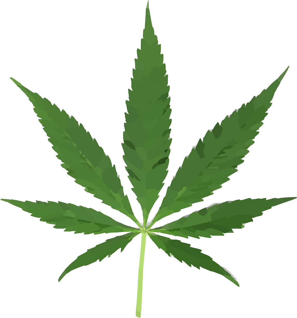 Cannabis Green Leaf