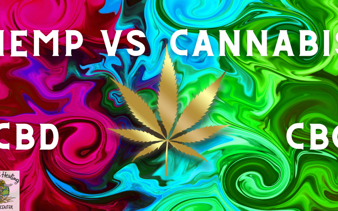 Hemp vs Cannabis: What’s the difference?