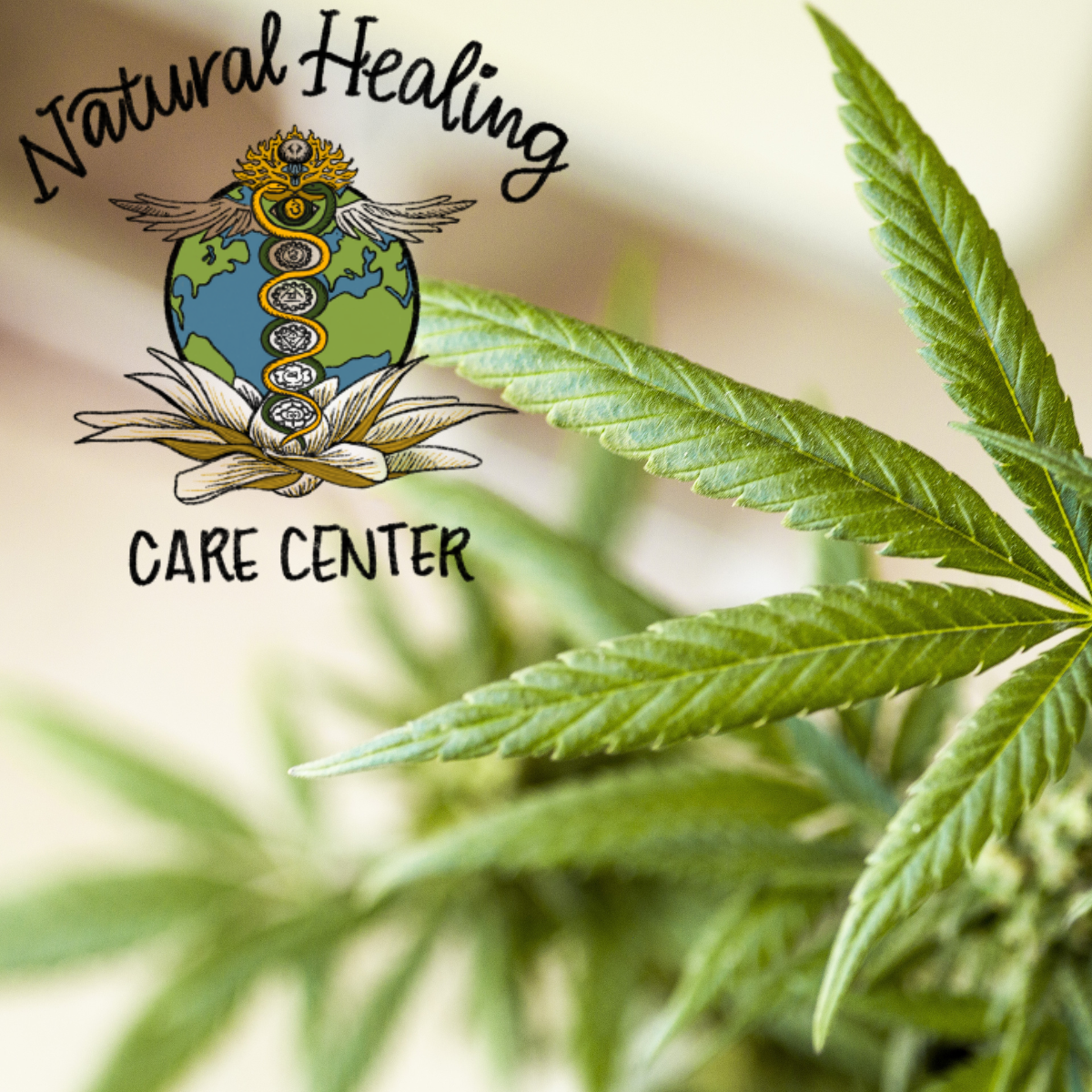 Natural Healing Care Center is cannabis