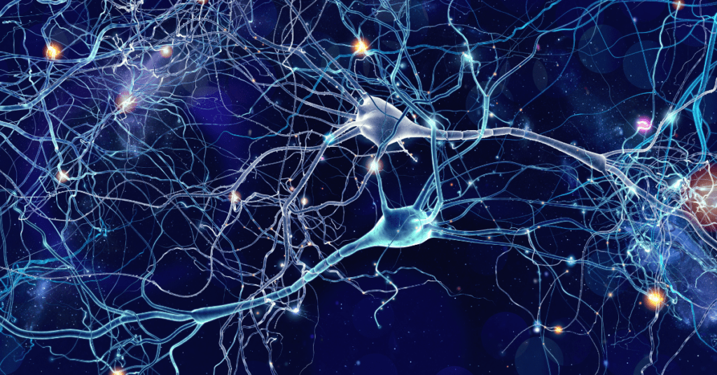 endocannabinoid system