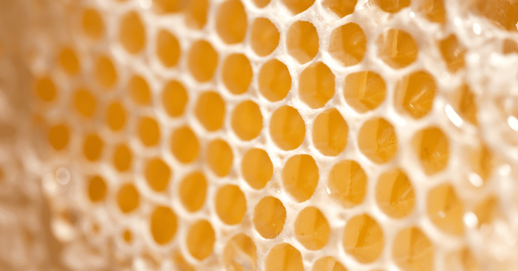organic beeswax nana's rub