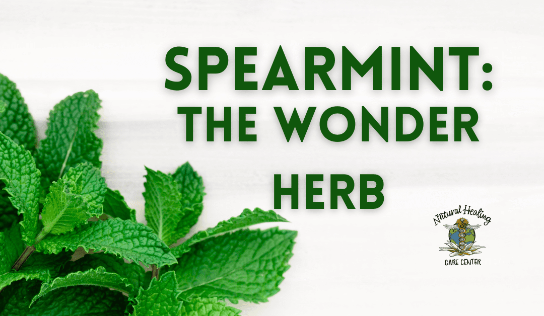 spearmint: the wonder herb